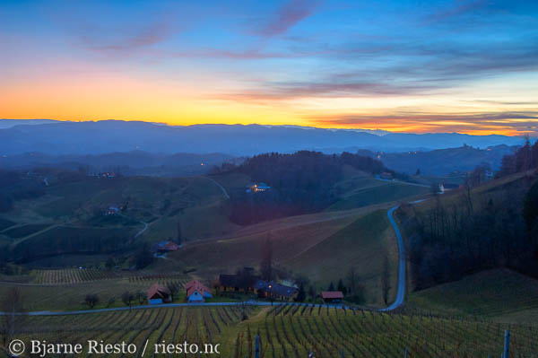 Point Lobos. Carmel, California