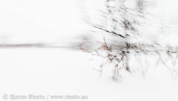 Horisont. Vinterlandskap på Varangerhalvøya. Finnmark