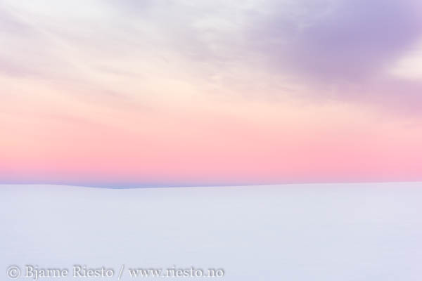 Horisont. Vinterlandskap på Varangerhalvøya. Finnmark