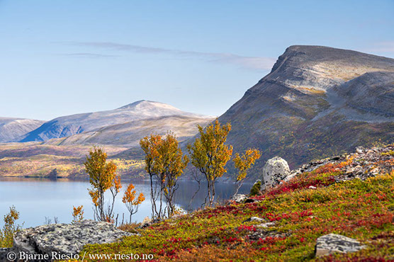 Myrull og midnattssol. Varangehalvøya, Finnmark 