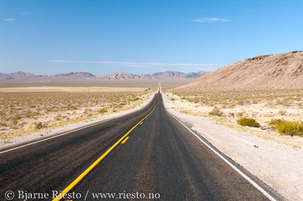 Point Lobos. Carmel, California
