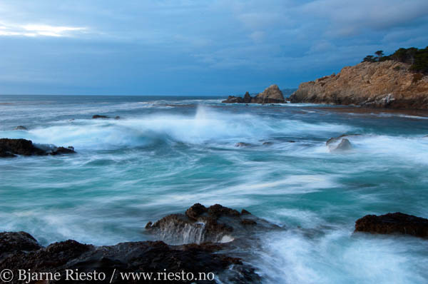 Point Lobos. Carmel, California