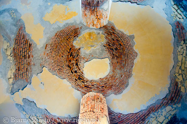 Point Lobos. Carmel, California