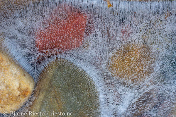 Myrull og midnattssol. Varangehalvøya, Finnmark 