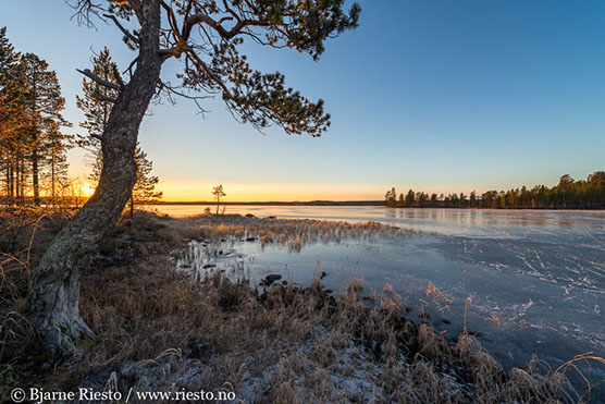 Myrull og midnattssol. Varangehalvøya, Finnmark 