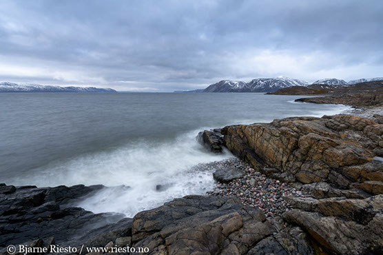 Myrull og midnattssol. Varangehalvøya, Finnmark 